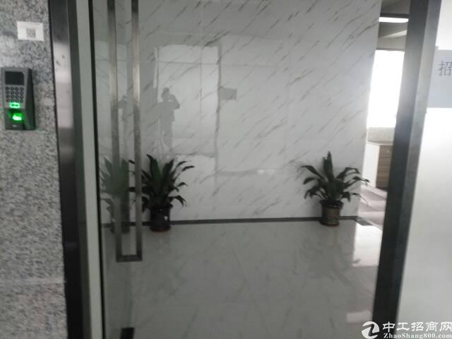 塘尾地铁口全新装修写字楼