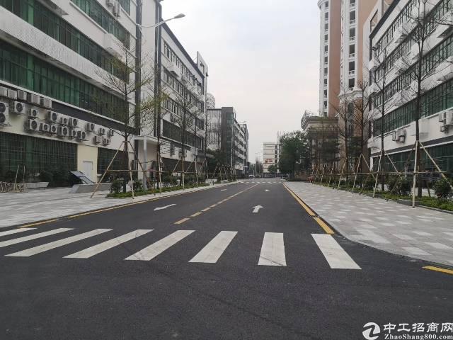 龙东电商园区招租180平方可分