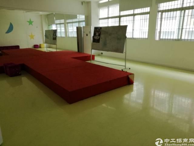 西乡新出1100平办公室适合传媒摄影培训成熟地段
