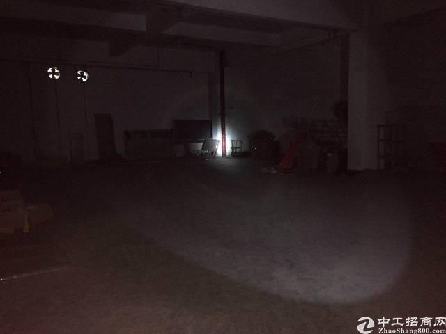 智慧城大观中路独栋出租价格优惠。
