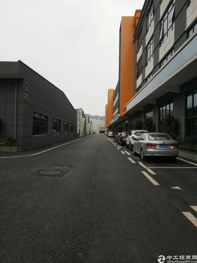塘尾地铁口全新装修写字楼