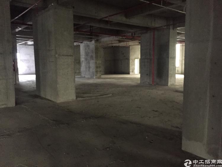 沙井中兴路970平精装修写字楼出租