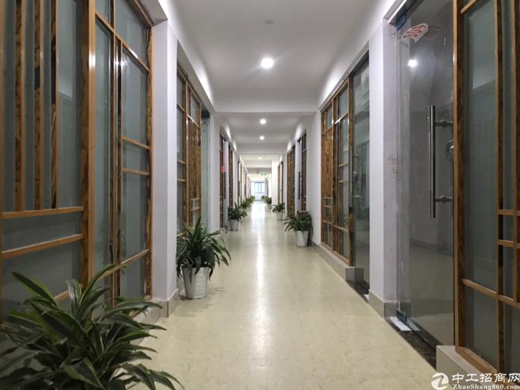 深圳,观澜,观平路边非常漂亮的写字楼,价格实在,手慢无