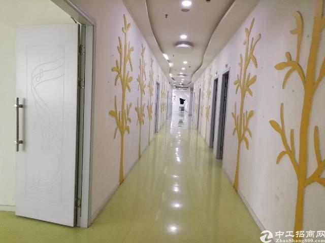 西乡新出1100平办公室适合传媒摄影培训成熟地段