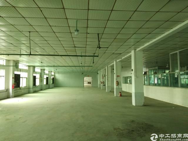 PG电子APP下载 - 官方正版，安全无忧视频丨促进残疾人就