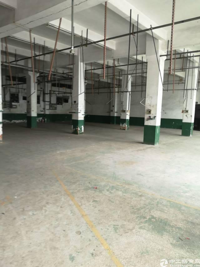 PG电子APP下载 - 官方正版，安全无忧锂电芯市场_锂电芯市场分析 - OFweek锂电网