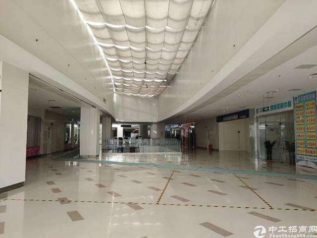 塘厦最火地段商铺招租
: