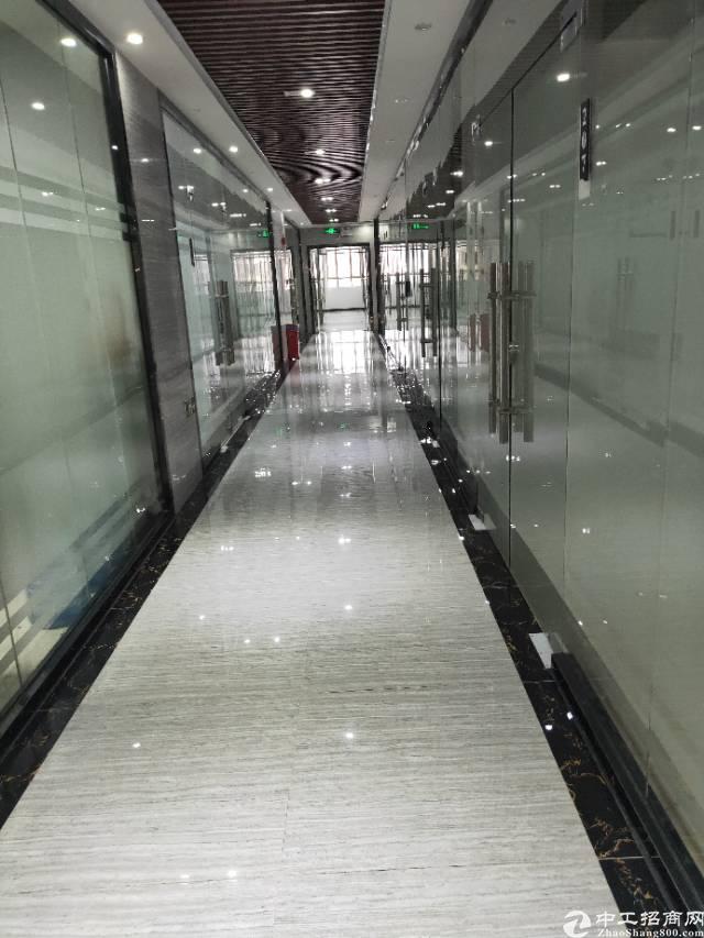 建设北路豪华装修,带家具