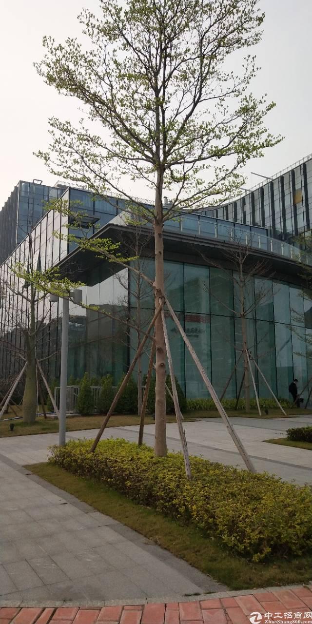 广州天河区精装写字楼带公共会议室路演厅