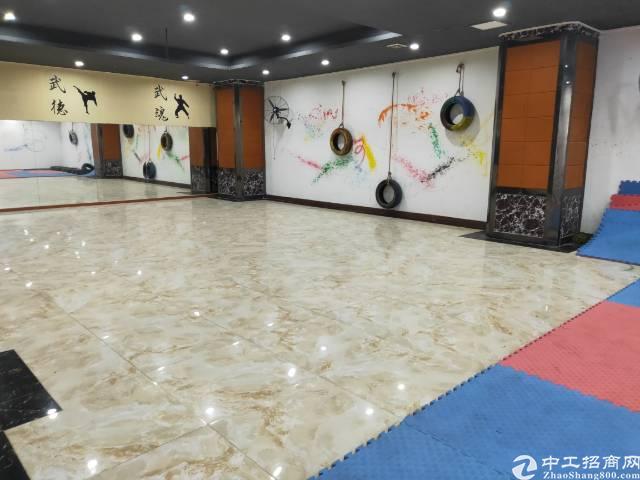 地铁口附近豪华装修带家具
