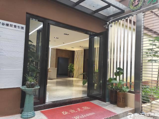 豪华装修地铁口附近带家具