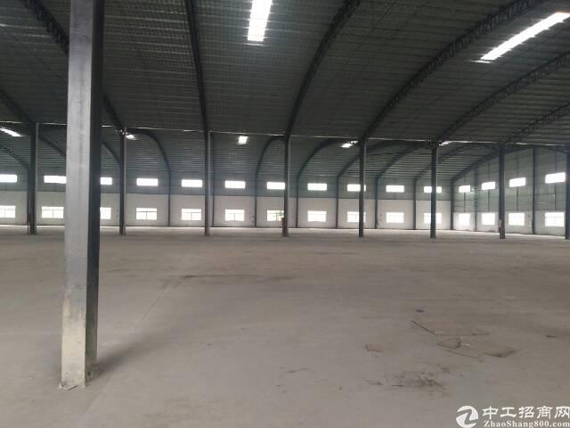 惠州市新建成钢结构独门独院厂房出租仓库出租一千平方