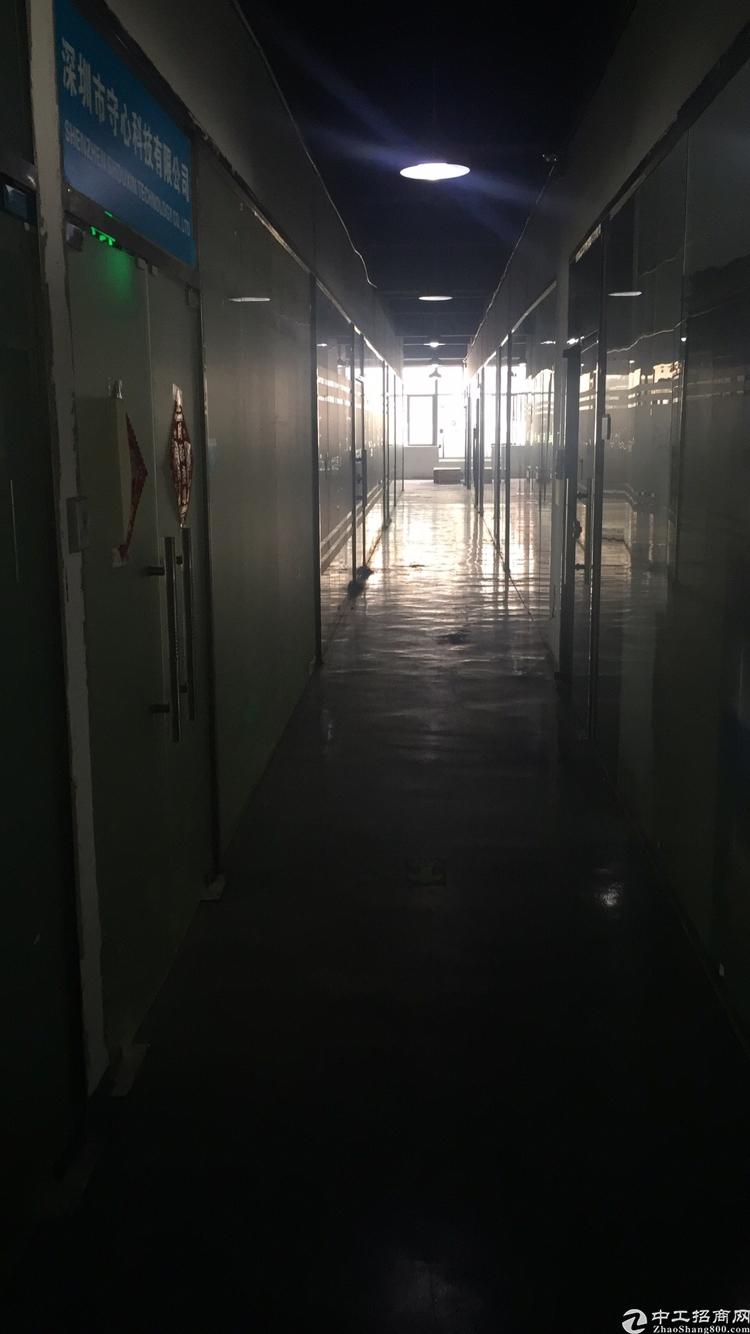 适合办公,电商,交通便利,价格优惠,园区内环境好