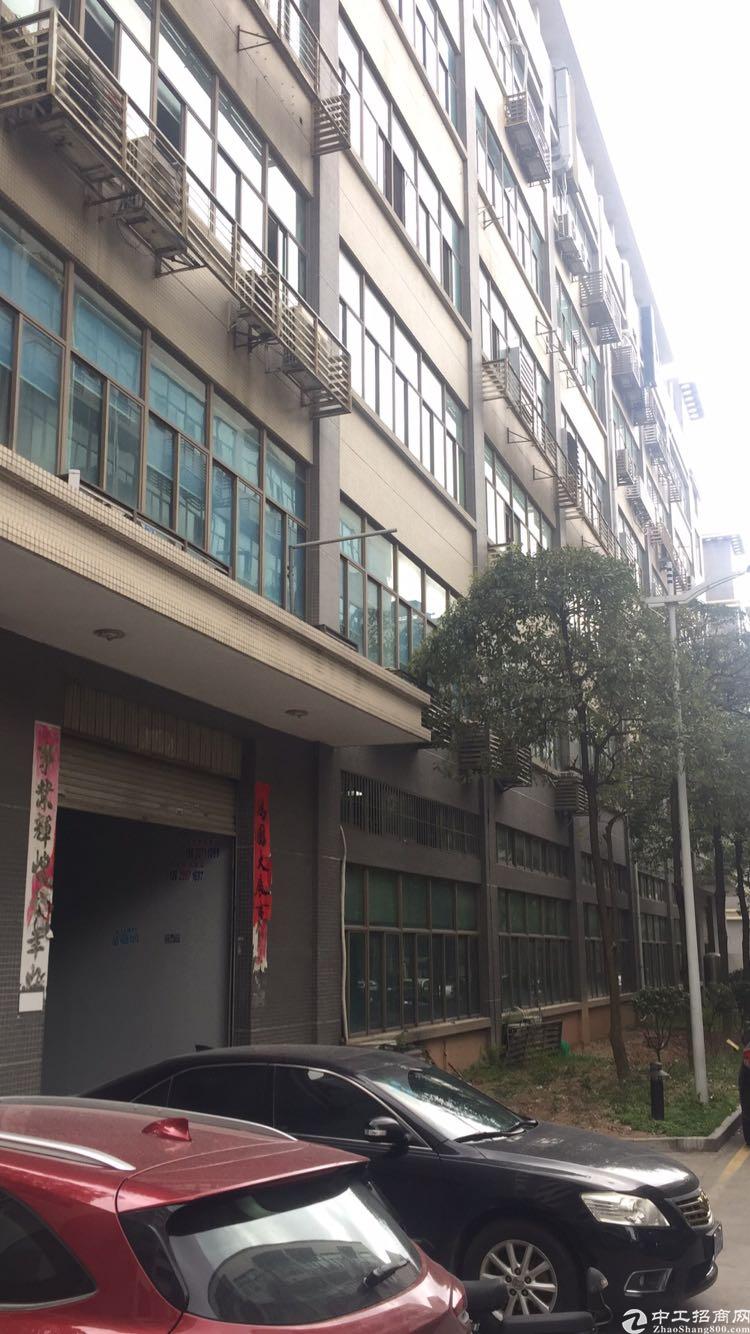 电商,办公专用