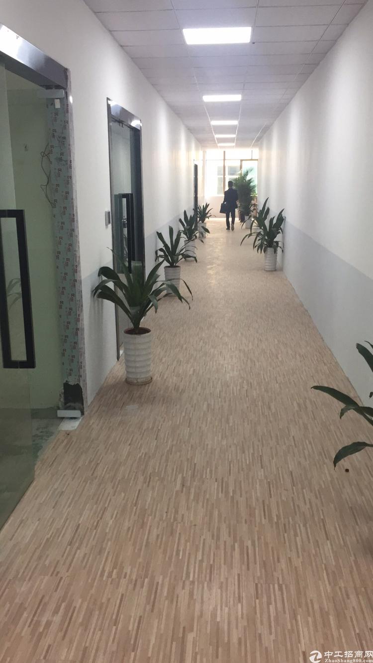 电商,办公专用