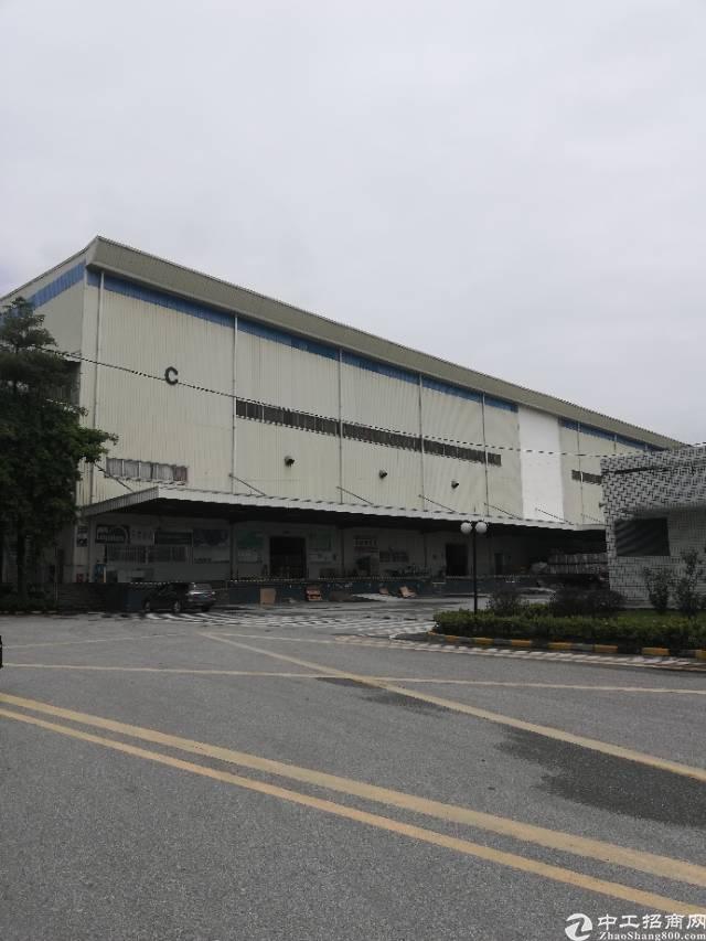 黄埔开发区南岗现有标准物流仓库8000平米出租，可分租。