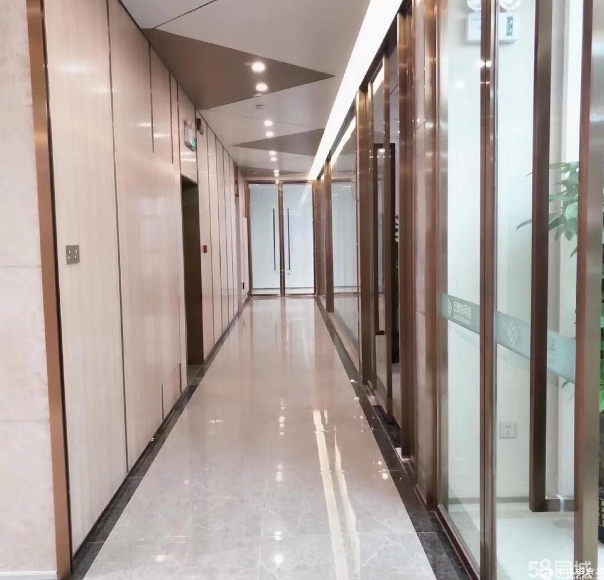 永湖地铁口附近豪华装修写字楼商业红本出租