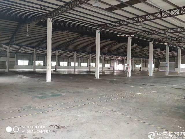 广州增城区新塘镇新出1300平标准仓库、滴水8米、空地大