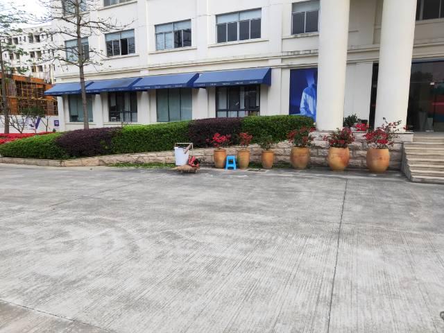 九龙镇全新简装写字楼出租
