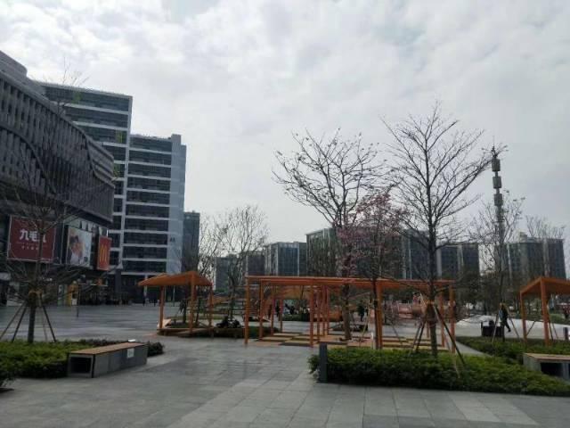 天河区智慧城万科广场附近办公室出租