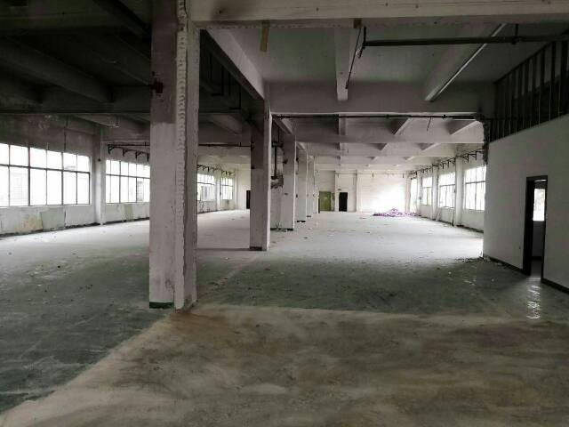 江高工业区独院4000平方米仓库出租