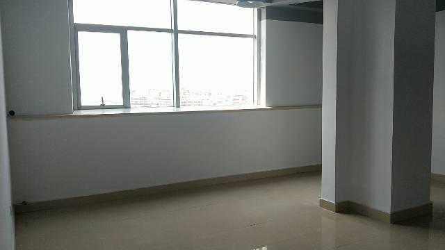 新沙路新出精装写字楼,车位充足,领包入住