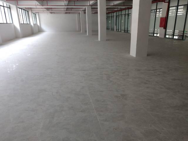 横岗四联学校边30原房东精装修写字楼