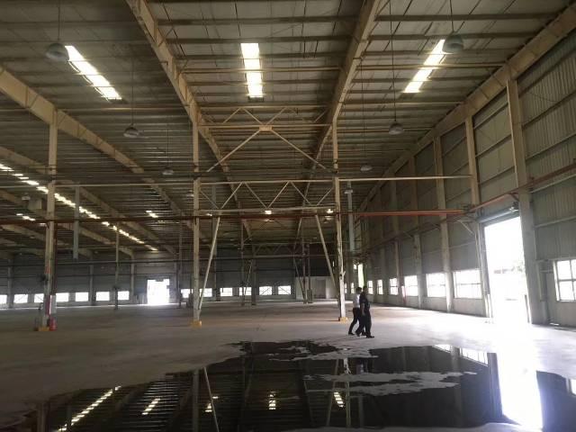 黄埔开发区新出7000平方独栋钢构厂房仓库