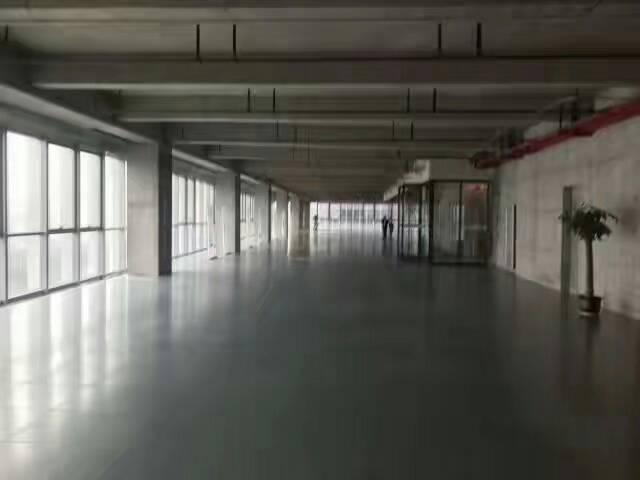 广州市黄埔科学城标准甲级写字楼,光线好楼层高