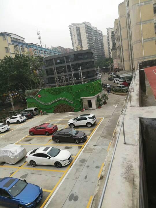广州黄埔区棠下路,大小可分