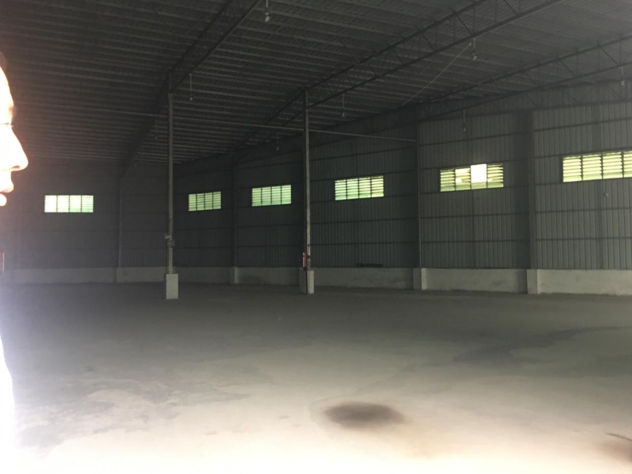 花东全新钢结构仓库出租。