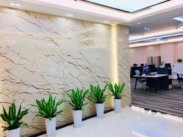 龙华深圳北双地铁口办公室出租豪装带家私物业直租