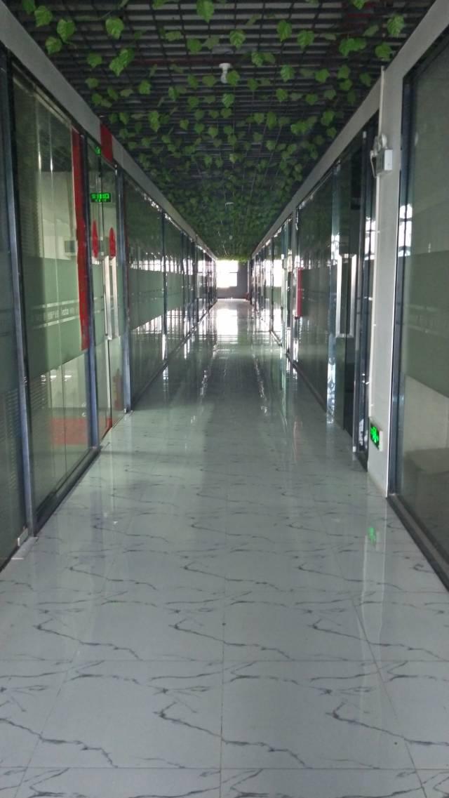沙井精装写字楼增红本,45-880平方均有出售