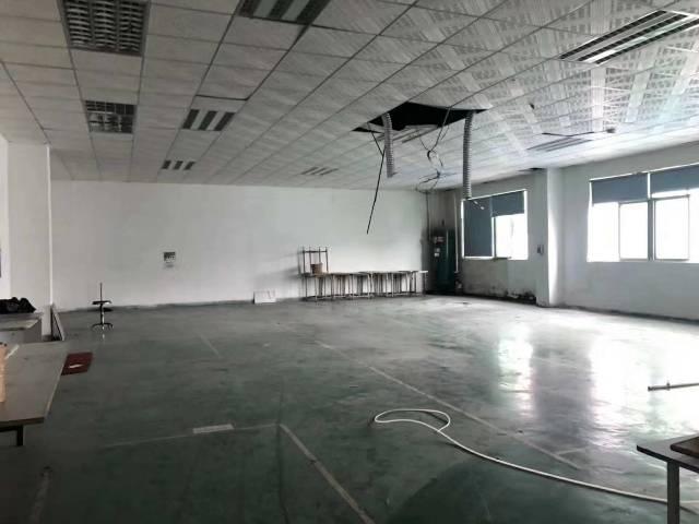 【塘厦视力出租】塘空出厦新厂房1-3层共390厂房高中女生3·0图片