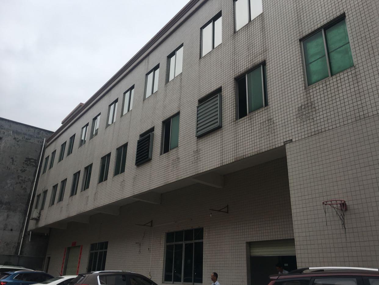 【横沥厂房出租】横沥原房东独院标准楼房厂房