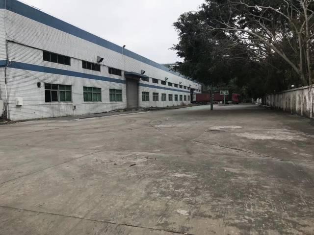 龙岗宝龙工业区独栋钢构3800平出租非常适合做物流仓库