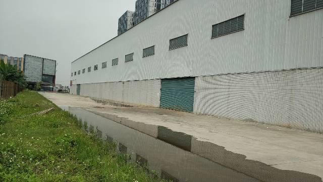 广州新塘现成物流仓库单一层10米滴水可办环评电可报装