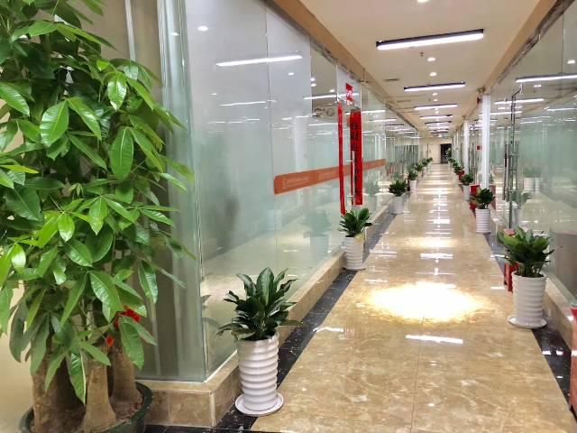 横岗塘坑地铁站10米1+1格局