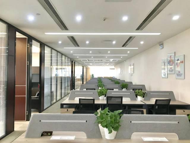 龙岗创投,全新豪华装修,带豪华家具