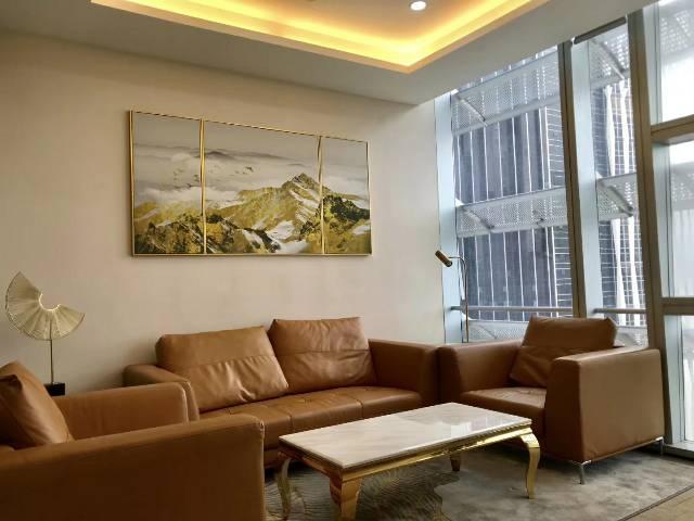 龙岗创投,全新豪华装修,带豪华家具