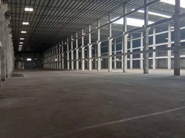 南海九江工业区6万方出租，可做仓库，大小分租，中高15米，滴