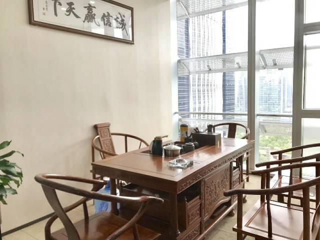 龙岗创投,全新豪华装修,带豪华家具