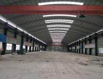 11米高，惠州惠阳独院钢构厂房5500平米出租