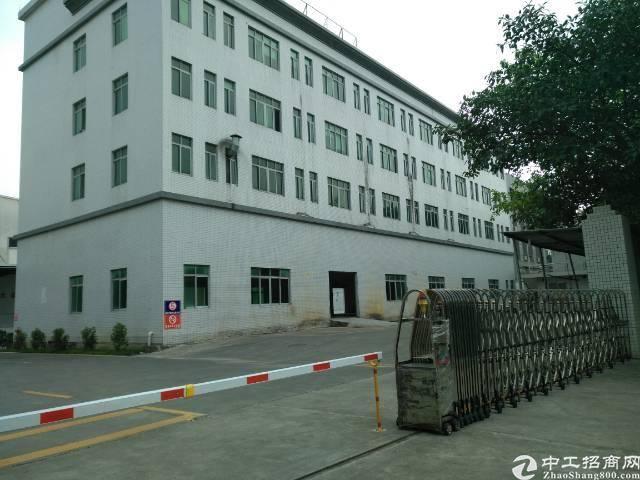 广州黄埔新空物流高台仓库出租，大小可分租。