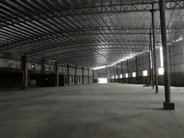 广州市番禺区沙头新出标准仓库厂房总面积1700平