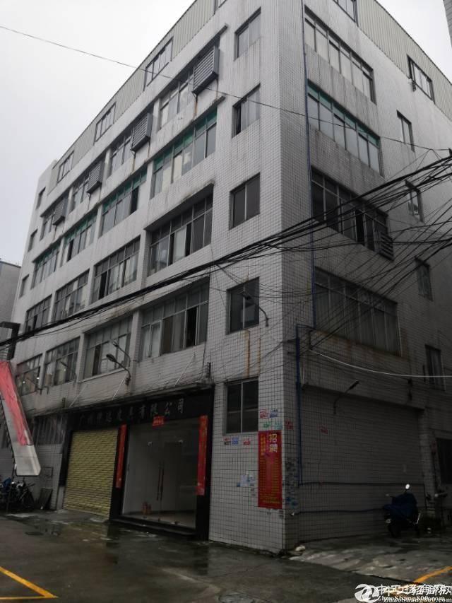 广州市天河区柯木朗新出独院标准厂房仓库1800平出租，