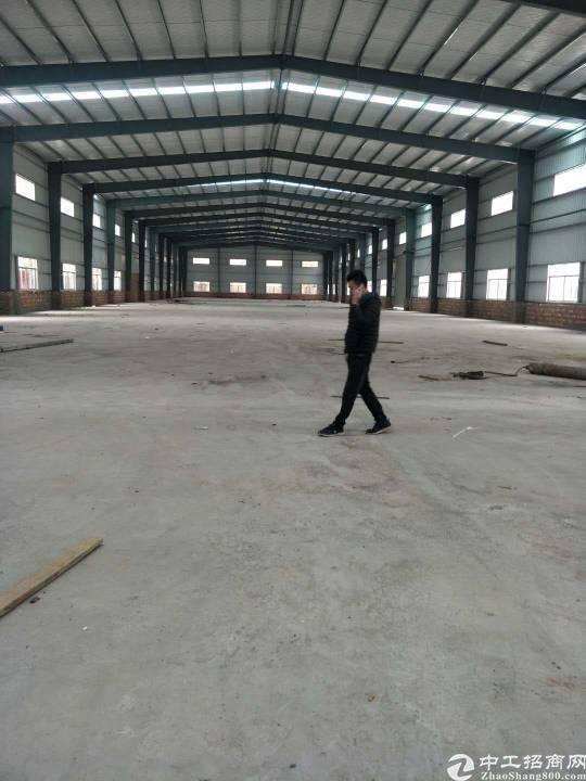 广州新塘原房东单一层带卸货平台3000钢构仓库可分租