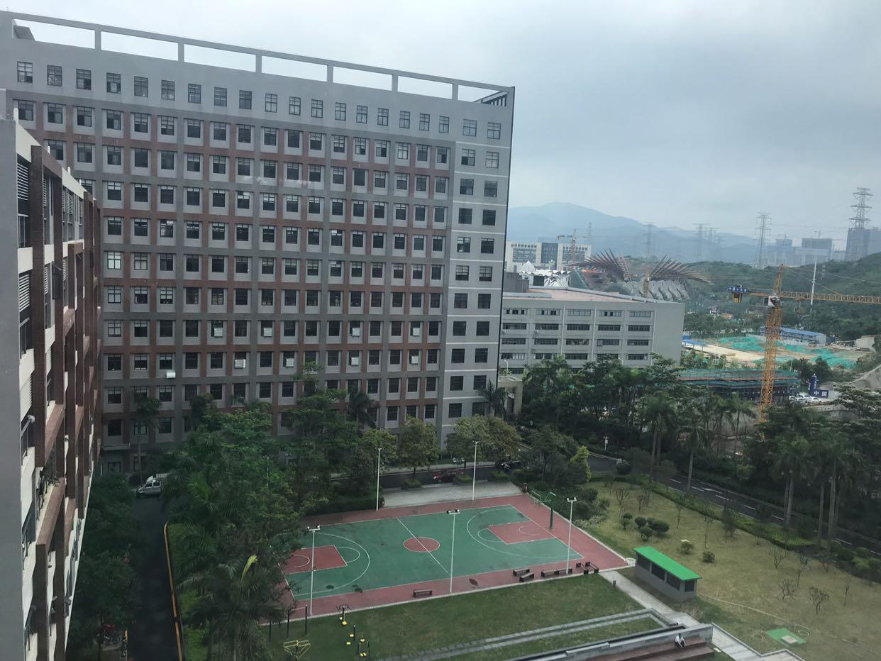 龙华大浪服装基地附近新出2000平大小可分租
