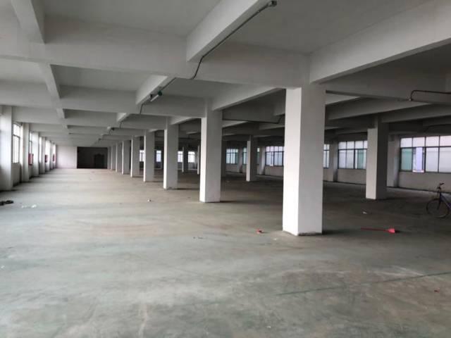 广州天河大道新出一楼1150平方厂房仓库