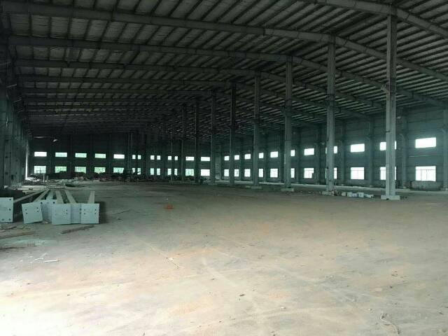 惠州马安1800钢结构物流仓库